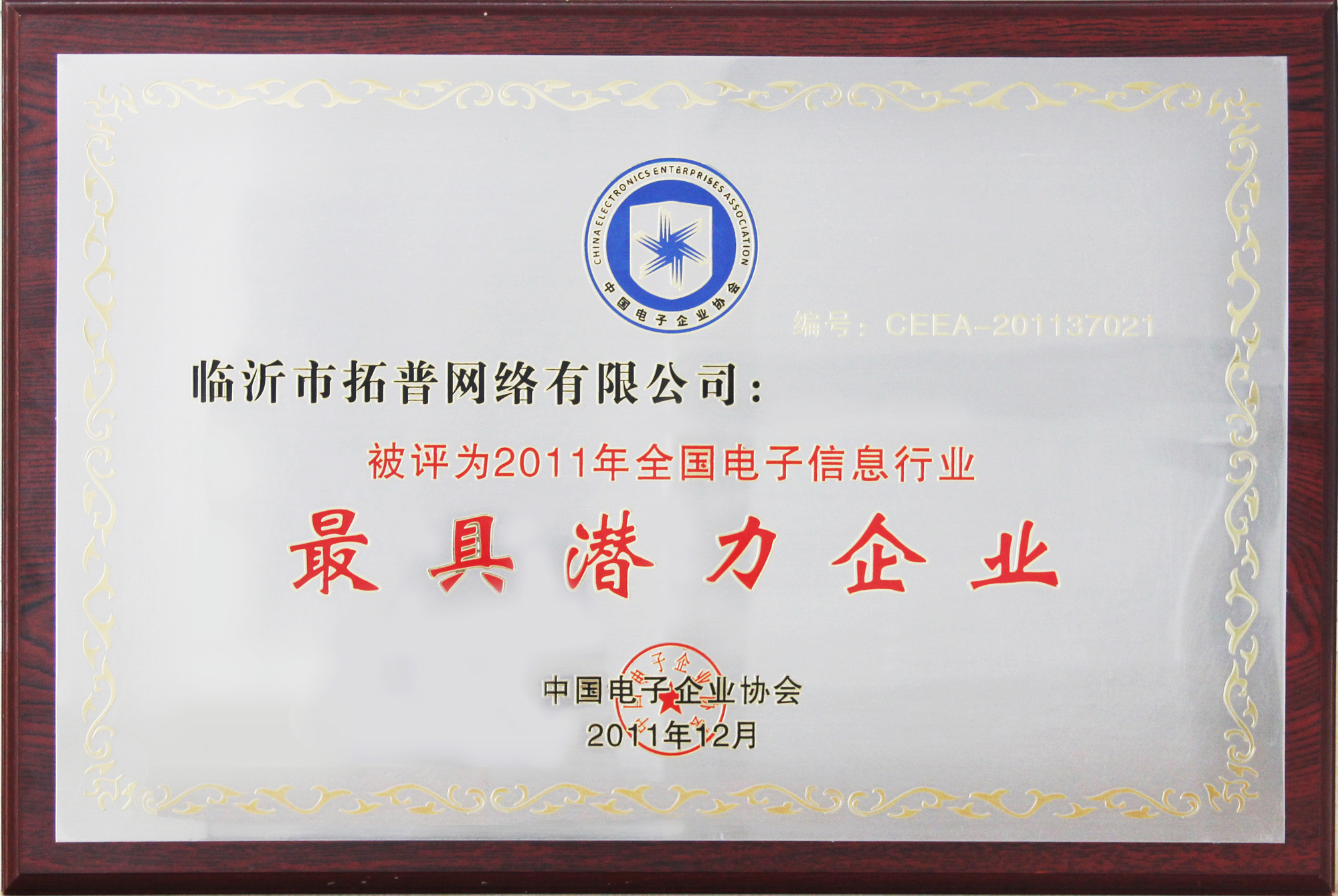 主題：全國電子信息行業最具潛力企業 日期：2013-07-05